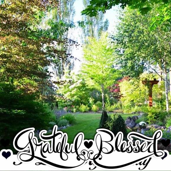 Meet your Posher, Netsey - Picture 1 of 1